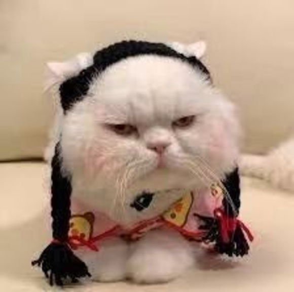 Meet your Posher, - - Picture 1 of 1